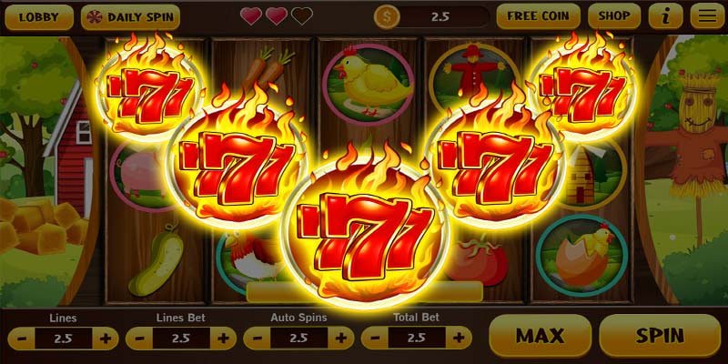 6020bet